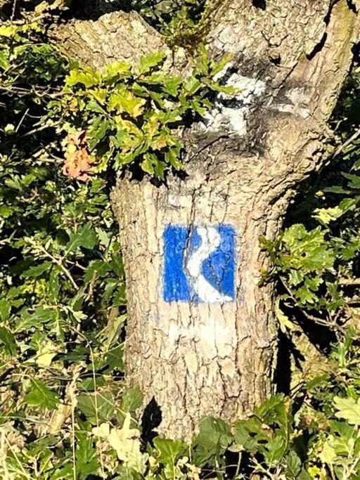 Rheinauszeit Lägenhet Rheinbrohl Exteriör bild